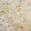 Image of Tremella mushroom